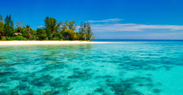 Isla de la Tortuga